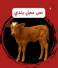 نص عجل بلدي